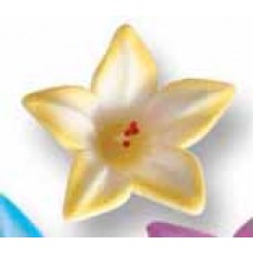 Lilly yellow